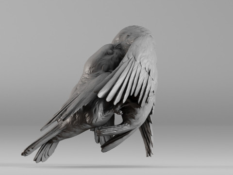 S00051 Lovebirds - Romantic 3D Sculpture 3dp 3D Принт Модель