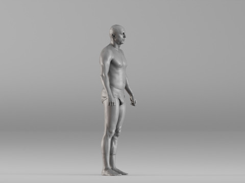S00115 Male Base Anatomy Scanned Human Body 3D printmodel
