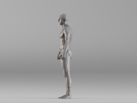 S00115 Male Base Anatomy Scanned Human Body 3D printmodel