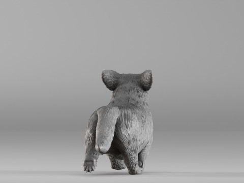 S00098 Corgi Dog 3D Print Model