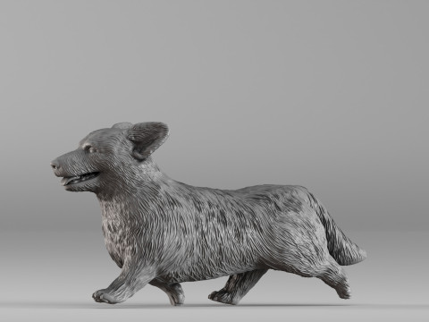 S00098 Corgi Dog 3D Print Model