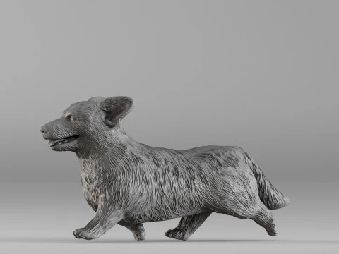 S00098 Corgi Dog 3D Print Model