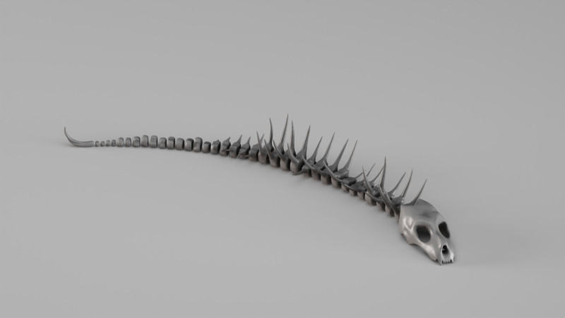 001661 Scheletro di creatura acquatica preistorica Modello di stampa 3D .c4d .max .obj .3ds .fbx .stl .blend