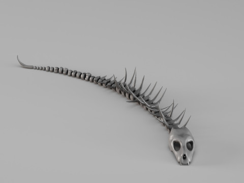 001661 Scheletro di creatura acquatica preistorica Modello di stampa 3D