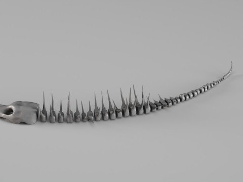 001661 Scheletro di creatura acquatica preistorica Modello di stampa 3D