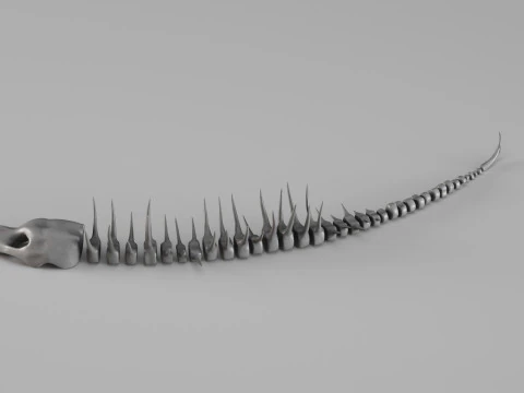001661 Prehistoric Aquatic Creature Skeleton 3D Print Model