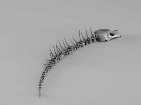 001661 Scheletro di creatura acquatica preistorica Modello di stampa 3D