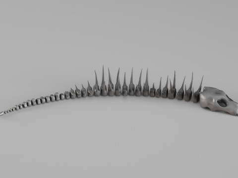 001661 Scheletro di creatura acquatica preistorica Modello di stampa 3D