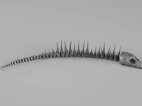 001661 Prehistoric Aquatic Creature Skeleton 3D Print Model