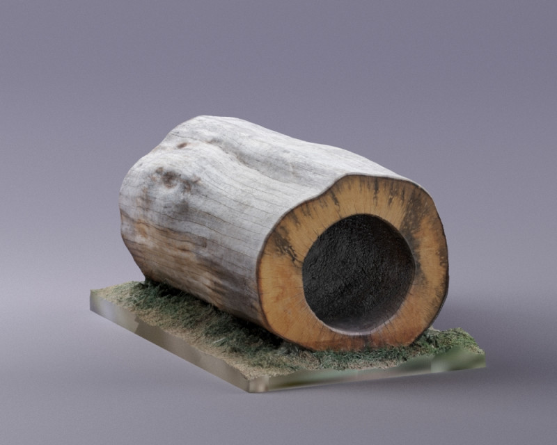 S00095 空心树干段 3D 模型 .c4d .max .obj .3ds .fbx .stl .blend 