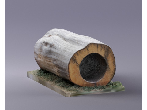 S00095 Hohles Baumstammsegment 3D Modell