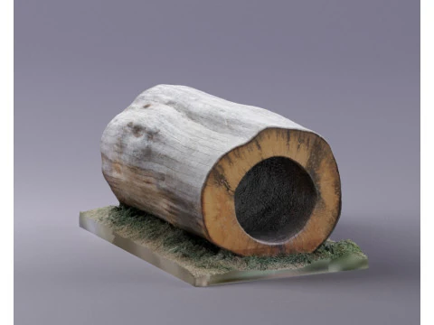 S00095 Hollow Tree Trunk Segment 3D Model