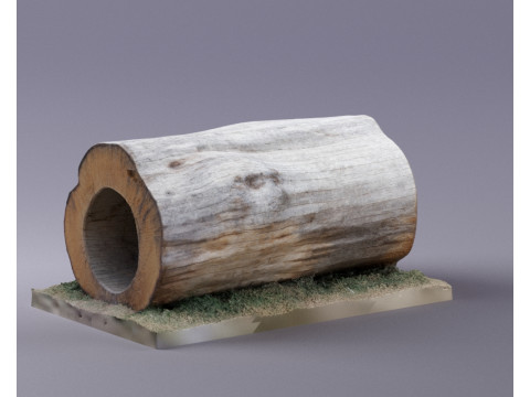 S00095 空心树干段 3D 模型