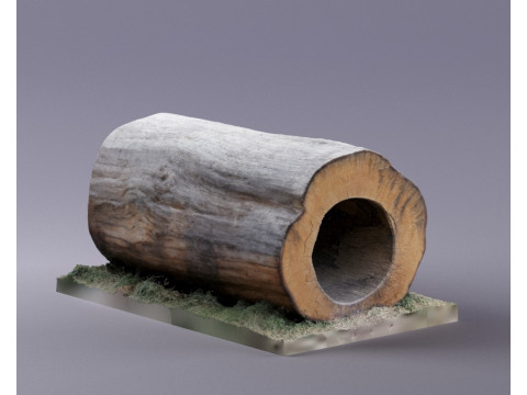 S00095 空心树干段 3D 模型