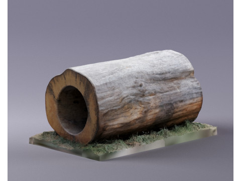 S00095 空心树干段 3D 模型