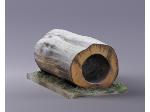 S00095 空心树干段 3D 模型