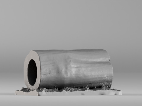 S00095 Сегмент полого ствола дерева 3dp 3D Принт Модель