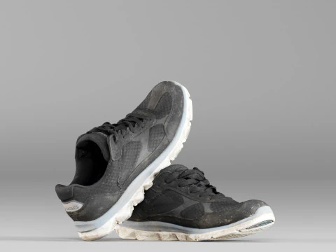 S00049 Old Sneakers 3D Model