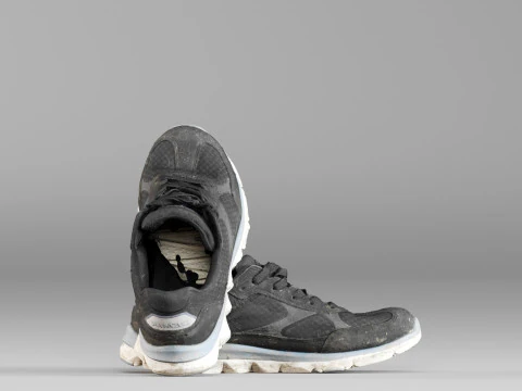 S00049 Old Sneakers 3D Model