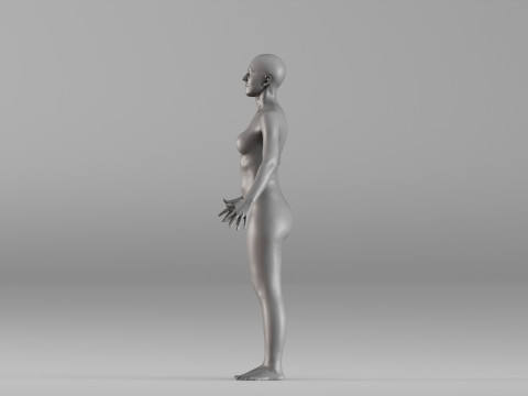 001662 女性解剖现实身体扫描 3D 打印模型