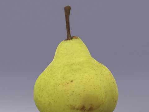 S00039 Realistic Pear Fruit 3D Model