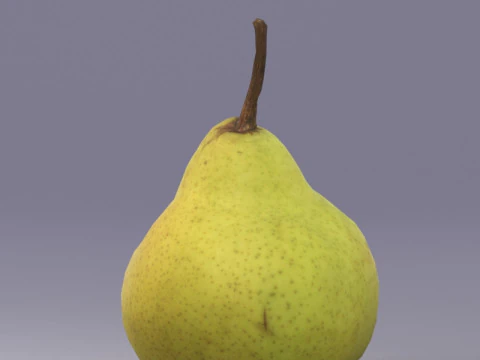 S00039 Realistic Pear Fruit 3D Model