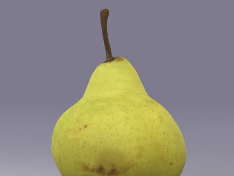 S00039 Realistic Pear Fruit 3D Model