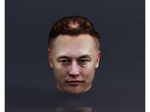 S00066 Elon Musk Head 3D Print Model