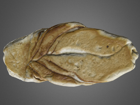 S00007 Rustic Braided Bread Loaf 3D Model