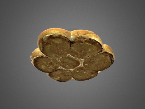 S00011 Sesame Pull-Apart Bread 3D Model