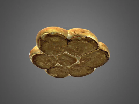 S00011 Sesame Pull-Apart Bread 3D Model