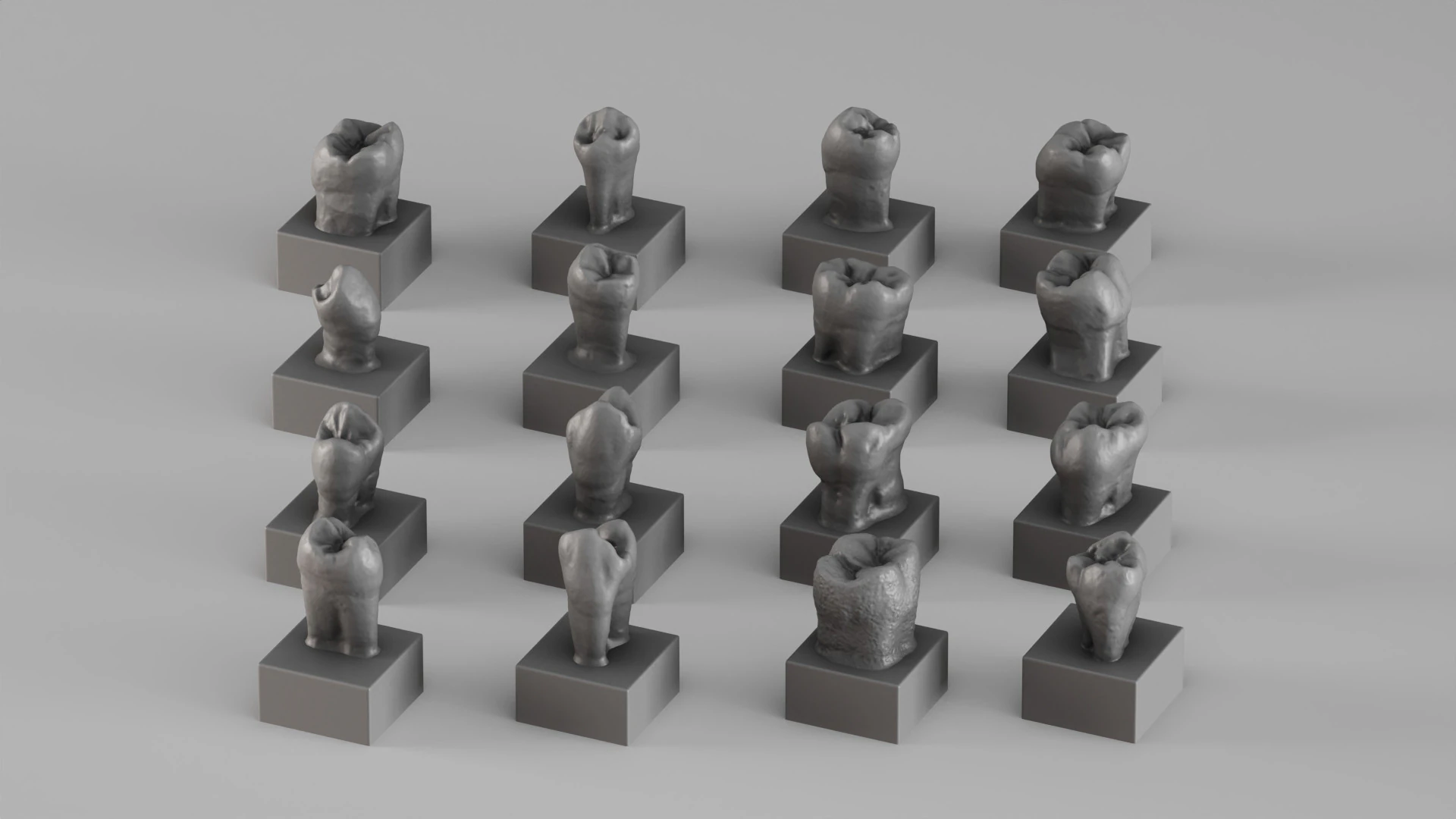 001690 Anatomica Dentis Premium Dental Tooth Collection 3D Print Model .c4d .max .obj .3ds .fbx .stl .blend 