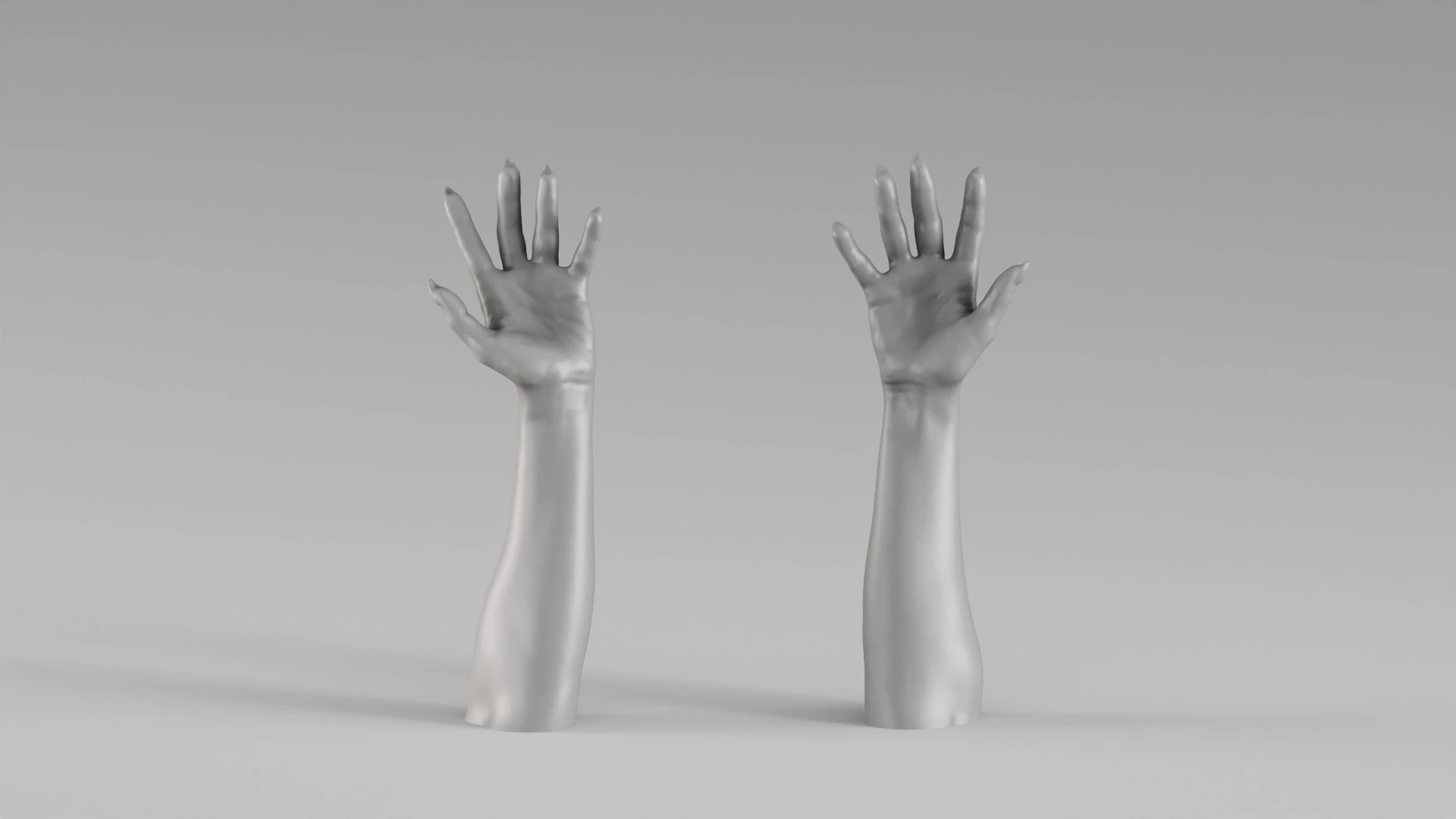 001711 Realistic Human Hands and Forearms Raised Pose 3D Scan 3D Print Model .c4d .max .obj .3ds .fbx .stl .blend 