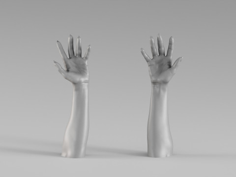 001711 Ger&ccedil;ek&ccedil;i İnsan Elleri ve &Ouml;nkolları Y&uuml;kseltilmiş Poz 3D Tarama 3D Baskı Modeli