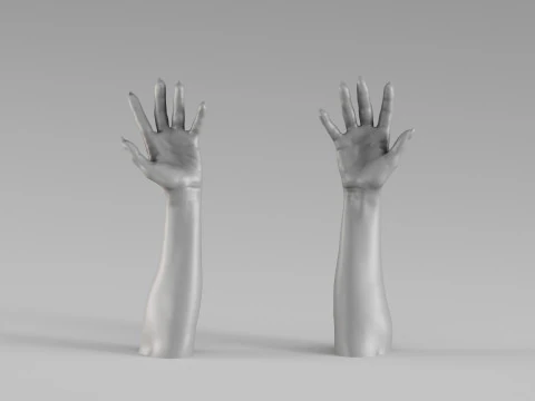 001711 Realistischer 3D-Scan menschlicher H&auml;nde und erhobener Unterarme 3D Druckmodell