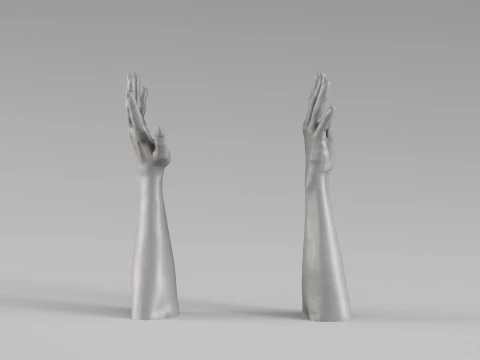 001711 Realistic Human Hands and Forearms Raised Pose 3D Scan 3D Print Model