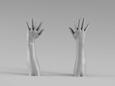001711 Realistic Human Hands and Forearms Raised Pose 3D Scan 3D Print Model
