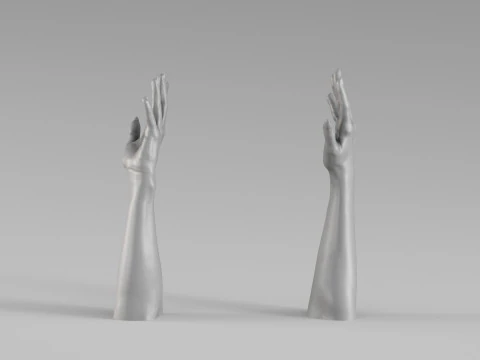 001711 Realistic Human Hands and Forearms Raised Pose 3D Scan 3D Print Model