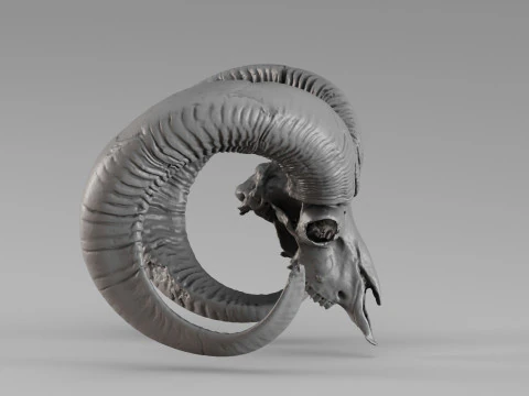 001714 Mouflon Skull Raw 3D Scan 3D Print Model