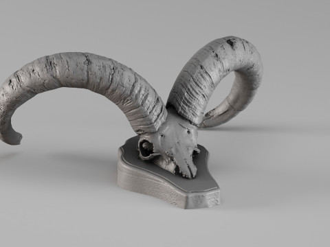 001718 Roher 3D-Scan des kaukasischen Tur-Schädels 3D Druckmodell