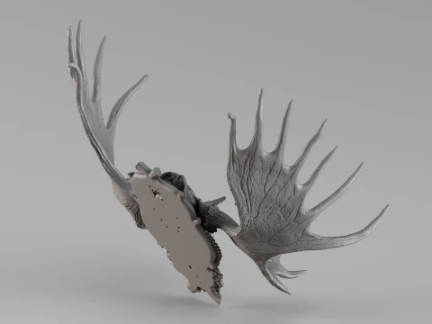 001721 Moose Skull with Antlers Raw 3D Scan 3D Print Model