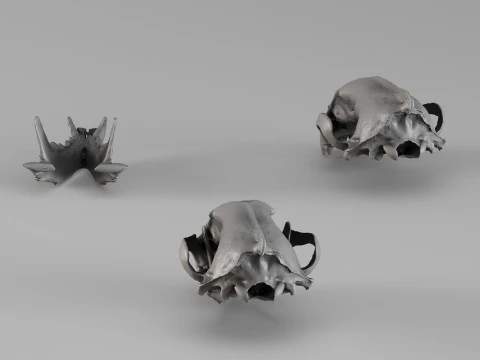 001728 Wolverine Skull Raw 3D Scan 3D Print Model