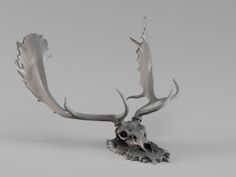 001731 Scansione 3D grezza del teschio di daino Modello di stampa 3D