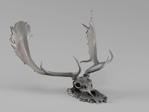 001731 Damhertenschedel Ruwe 3D-scan 3D printmodel