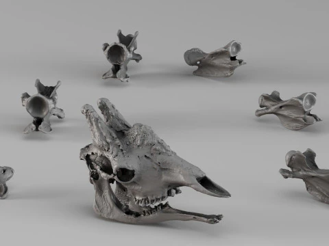 001732 Giraffe Skull Raw 3D Scan 3D Print Model