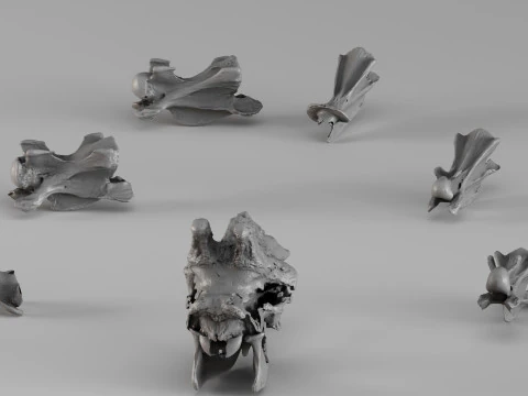 001732 Giraffe Skull Raw 3D Scan 3D Print Model