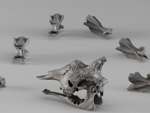 001732 Giraffe Skull Raw 3D Scan 3D Print Model