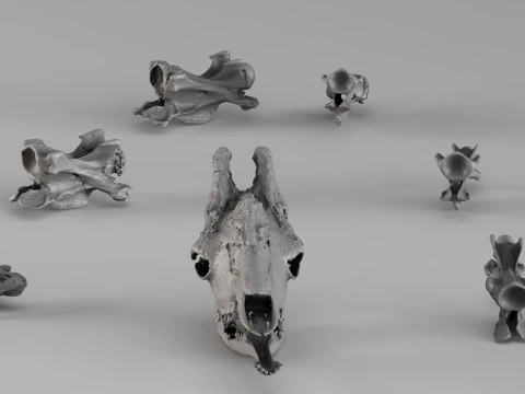 001732 Giraffe Skull Raw 3D Scan 3D Print Model