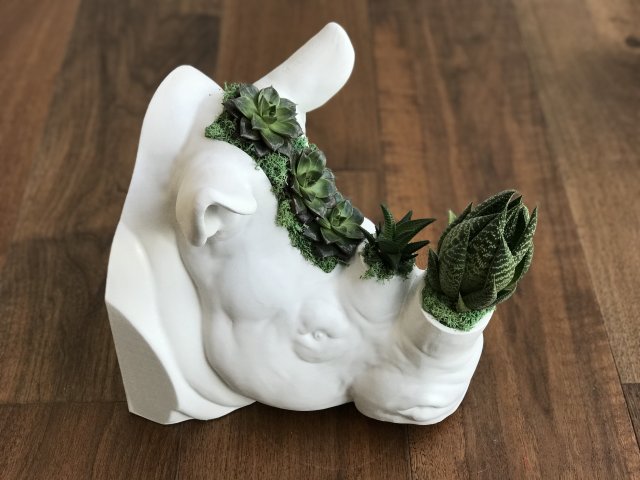 rhinoceros head 3D Print Model .c4d .max .obj .3ds .fbx .stl .blend 