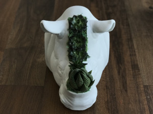 rhinoceros head 3D Print Model